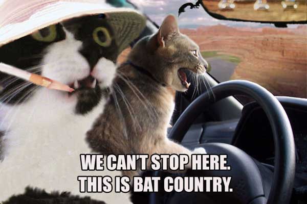 Bat County