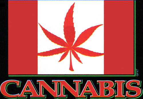 cannabis marijuana leaf parody flag
