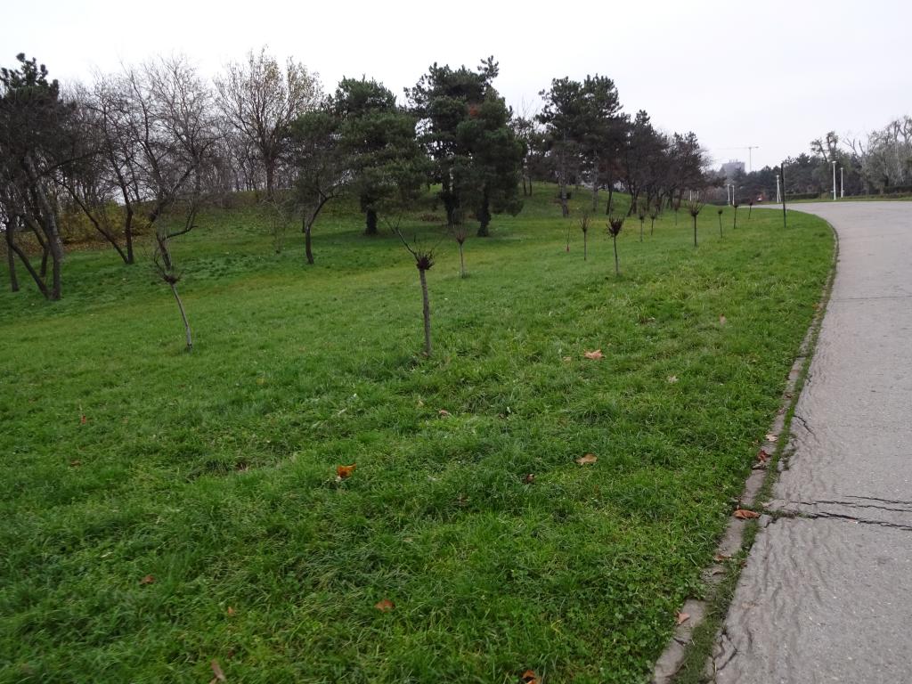 After an exhausting day, I decided to take a park tour, hoping that I'll get out of the everyday monotony.