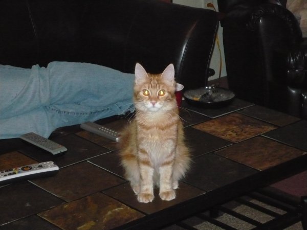What a poser.