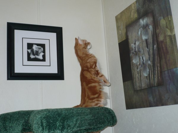Standing Tall