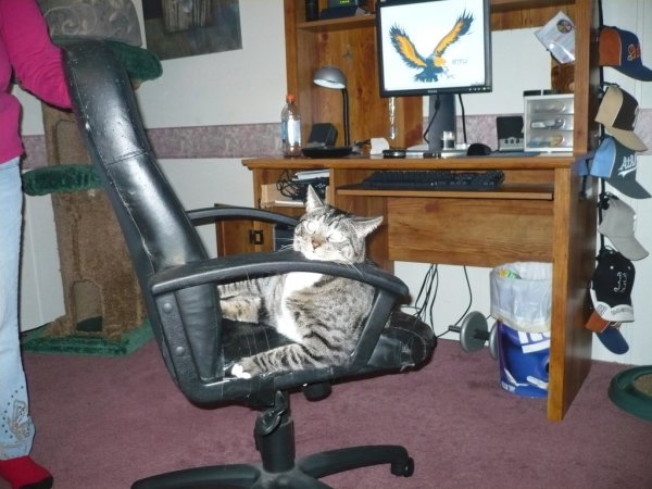 This is tig he thinks he's the king of the world.
