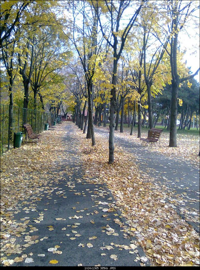 Autumn in the park