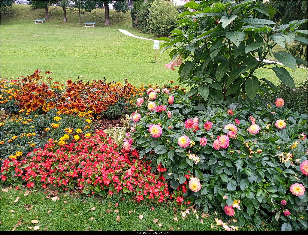 IMG 20210919 140102
