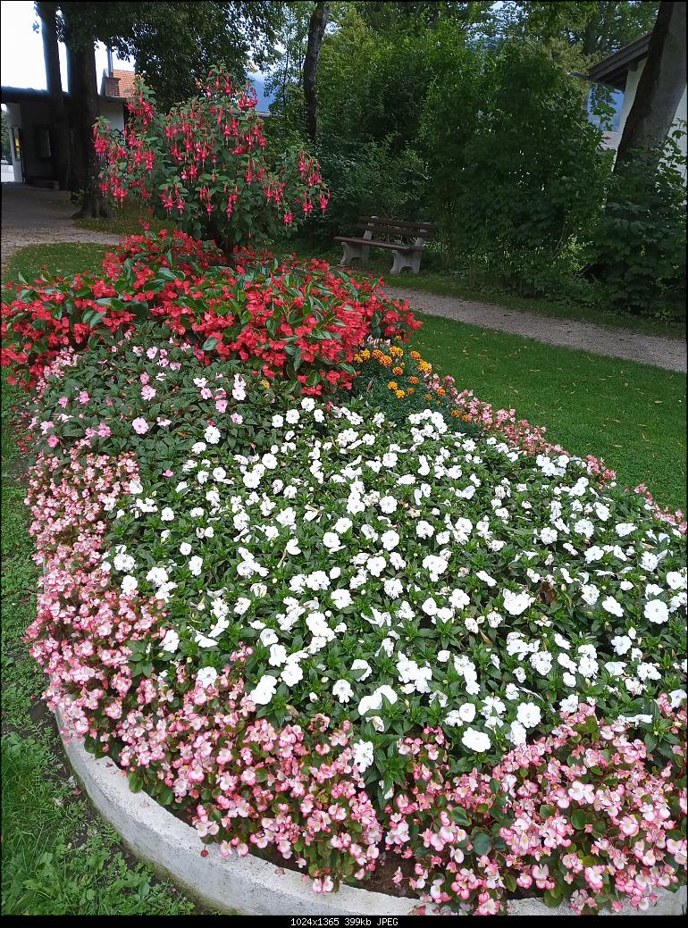 IMG 20210919 143419